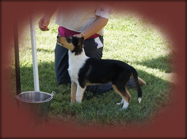 Gabi @ 12 wks -- 10/09/10