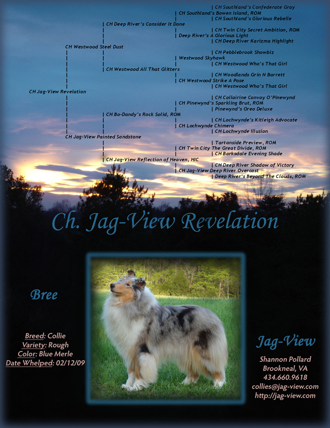 Pedigree | Ch. Jag-View Revelation -- "Bree"