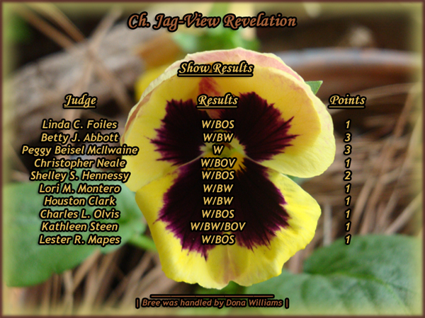 Show Results
