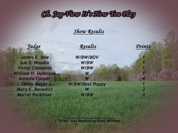 Show Results