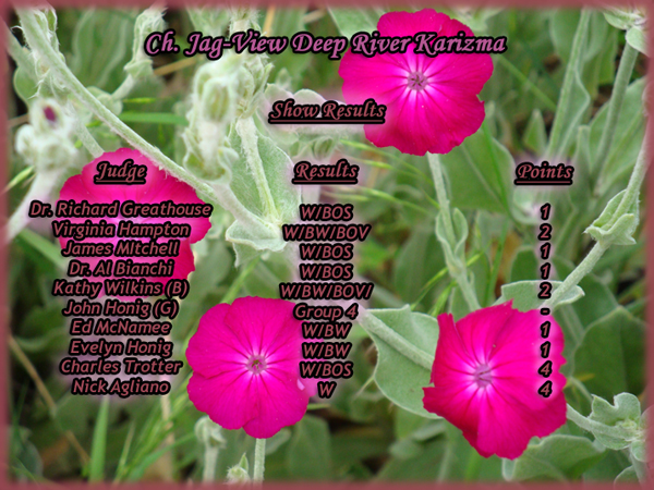 Show Results