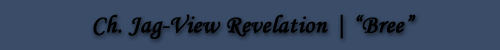 Ch. ptd., Jag-View Revelation