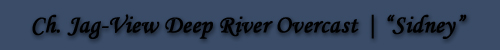 Ch. Jag-View Deep River Overcast