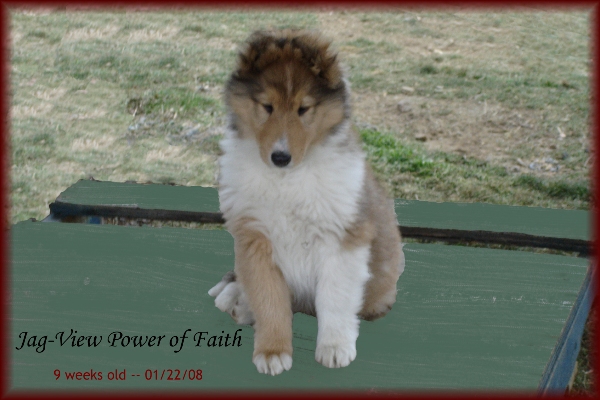 Jag-View Power of Faith | "Vera"